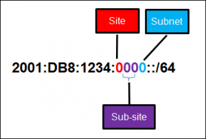 CCNA 1 v7 Modules 11 \u2013 13: IP Addressing - Test Online 5