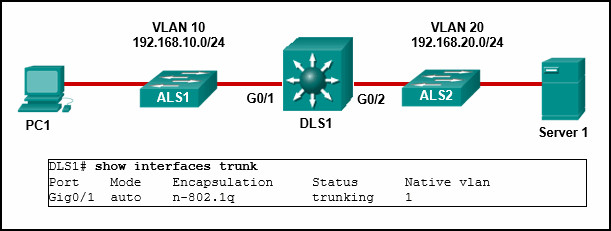 CCNA 2 v7 Modules 1 \u2013 4: Switching Concepts, VLANs, and InterVLAN Routing Test Online 6